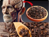 Cloves: The Forgotten Brain Protector Hiding in Your Spice Rack