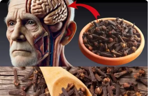 Cloves: The Forgotten Brain Protector Hiding in Your Spice Rack