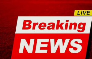 Gabapentin and Dementia Risk: What 26,000 Patients Reveal About a Silent Threat to Your Brain