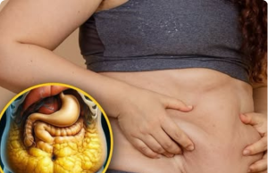 The Fructose Lie: How Sugar’s Silent Assassin Is Turning Your Organs Into Fat Factories (And What to Do Before It’s Too Late)