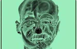 The “First Animal You Spot” Hoax: How Viral “Personality Tests” Are Stealing Your Self-Worth