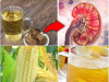 Corn Silk: The Viral “Superfood”