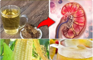 Corn Silk: The Viral “Superfood”