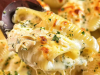 Million Dollar Chicken Alfredo Stuffed Shells
