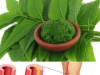 The Hidden Power of Neem Leaves: Nature’s Forgotten Healing Treasure