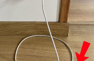 3 Diseases You May Face If You Never Leave a Charger Plugged In When Empty
