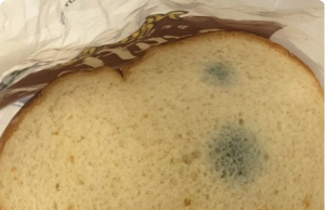 Stale Bread Decoded: Your No-Waste Guide to Safe Eating & Culinary Magic