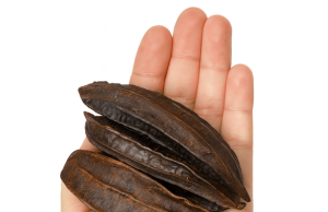 Aidan Fruit (Tetrapleura tetraptera): Health Benefits & Preparation