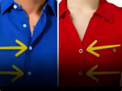 Why Are Women’s Buttons on the Left? The Fascinating Story Behind a Small Detail