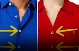 Why Are Women’s Buttons on the Left? The Fascinating Story Behind a Small Detail