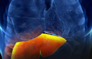 Science-Backed: 3 Fruits That Fight Fatty Liver, Balance Blood Sugar & Cholesterol