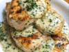 Creamy Boursin Chicken with Garlic & Fine Herbs