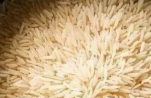 Doctor Issues Warning About Eating Too Much Rice – Here’s What You Need to Know