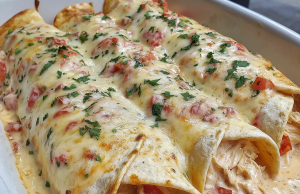 Queso Chicken Enchiladas