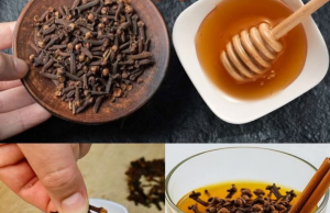 Clove, Honey & Cinnamon Blend: A Simple Daily Elixir for Natural Wellness