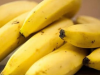 How Bananas Can Help You Sleep Better: Nature’s Nighttime Snack