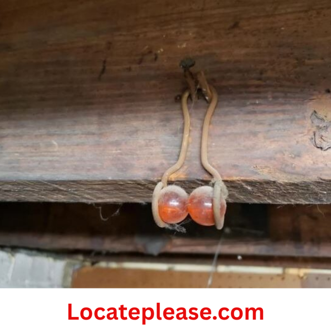 Locateplease - 2025-10-29T231250.864