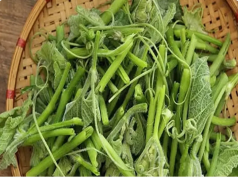 These 3 Vegetables Have a High Risk of Causing Cancer? Know the Truth to Protect Your Loved Ones