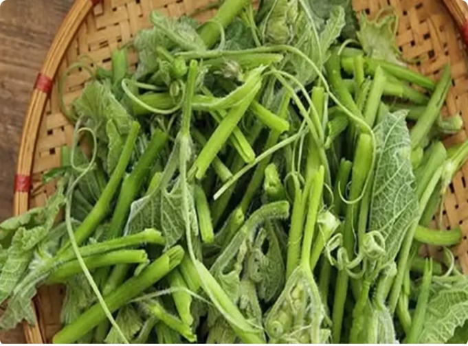 Design sans titre - 2025-11-07T003831.769