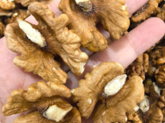 Doctors Reveal That Eating Walnuts Causes… Amazing Things for Your Heart, Brain & Long-Term Health!