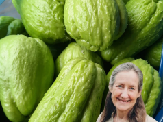 Doctors reveal that eating chayote causes …