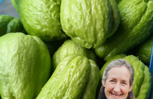 Doctors reveal that eating chayote causes …