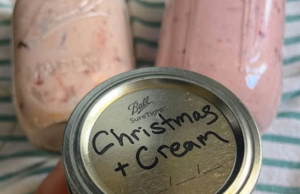 Christmas & Cream Spread: Holiday Magic in 15 Minutes