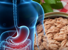 Canned Tuna Every Day: A Gentle Look at Balance and Care