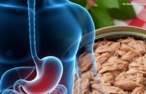 Canned Tuna Every Day: A Gentle Look at Balance and Care