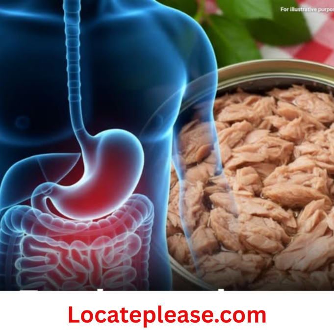 Locateplease - 2025-11-23T160721.752