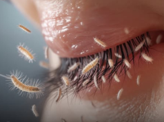 There Are Tiny Bugs Living in Your Eyelashes—And That’s Totally Normal