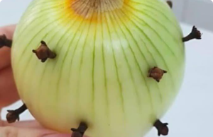 The Curious Case of the Nail in the Onion: A Forgotten Folk Remedy, Rediscovered