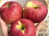 Doctors Reveals That Eating Apples Causes