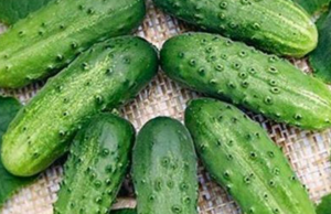 People Who Regularly Eat Cucumbers May Experience 3 Remarkable Changes Over Time