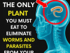 Just 2 spoons… Expels all worms and parasites from your body.