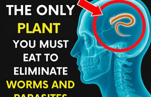 Just 2 spoons… Expels all worms and parasites from your body.