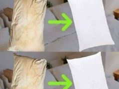 How to Deep-Clean Bed Pillows and Restore Them to Cloud-Like Freshness—Naturally