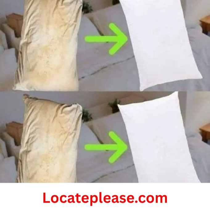 Locateplease - 2025-12-05T160359.478