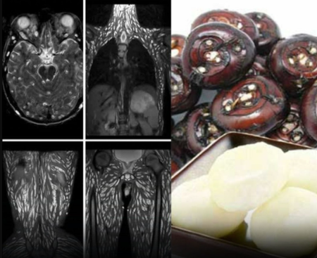 Screenshot 2025-12-17 235759