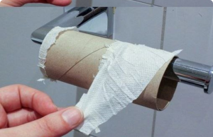 The Great Toilet Paper Reckoning: Is the Roll’s Reign Coming to an End?