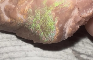 Why Does Meat Sometimes Look Rainbow-Colored?