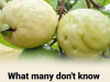 Unlock the Power of Guava: Nature’s Secret for Balanced Blood Sugar