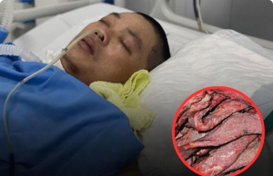 Why Eating More Processed Meat Increases Your Risk for Serious Health Problems