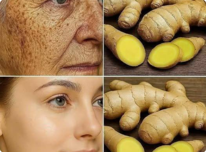 locate - 2026-01-24T151424.206