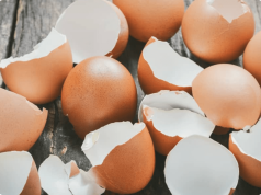 Egg and Coffee Teeth Whitening: Examining the Viral DIY Remedy