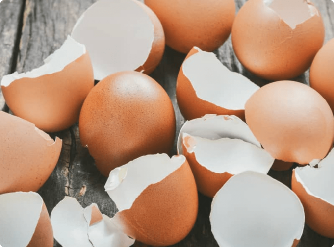 locate - 2026-01-26T001303.649