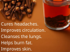 The Ancient Spice in Your Kitchen: 18 Ways Clove Tea Nourishes Health, Metabolism, and Longevity