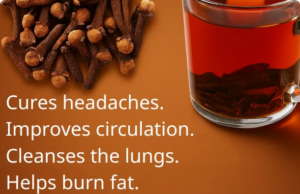 The Ancient Spice in Your Kitchen: 18 Ways Clove Tea Nourishes Health, Metabolism, and Longevity