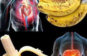 The Surprising Truth About Bananas: Nature’s Mood-Boosting Superfruit (And So Much More)