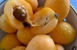 Traditional Apricot (Mishmish) Jam